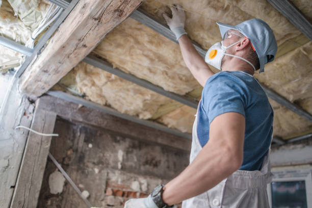 Best Fiberglass Insulation in Thoreau, NM
