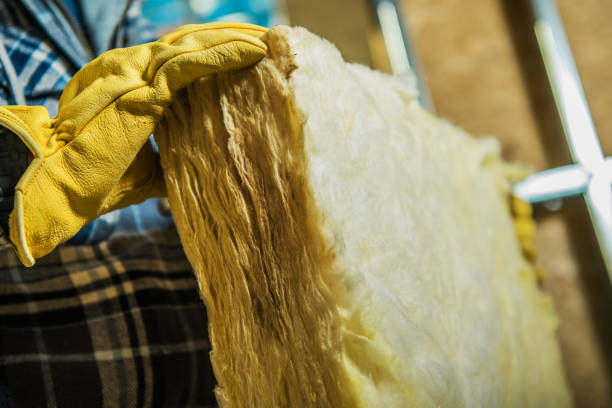 Best Commercial Insulation in Thoreau, NM
